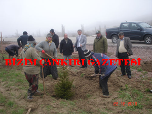 Eldivan Yolu a�a�land�r�l�yor