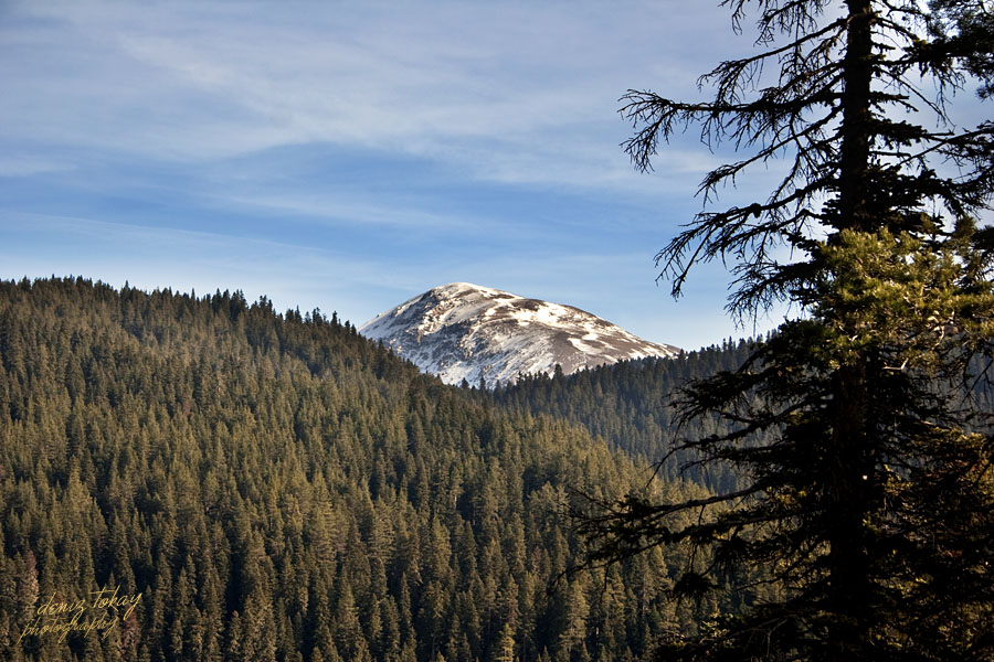 VI Geleneksel Ilgaz Da�� K���khacet Tepe Cumhuriyet T�rman��� Pazar g�n� yap�lacak