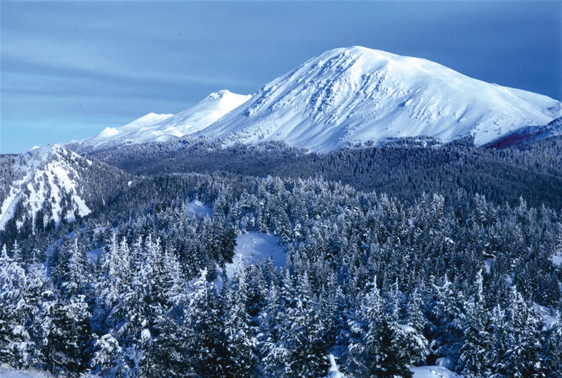 Ilgaz da�� tan�t�m