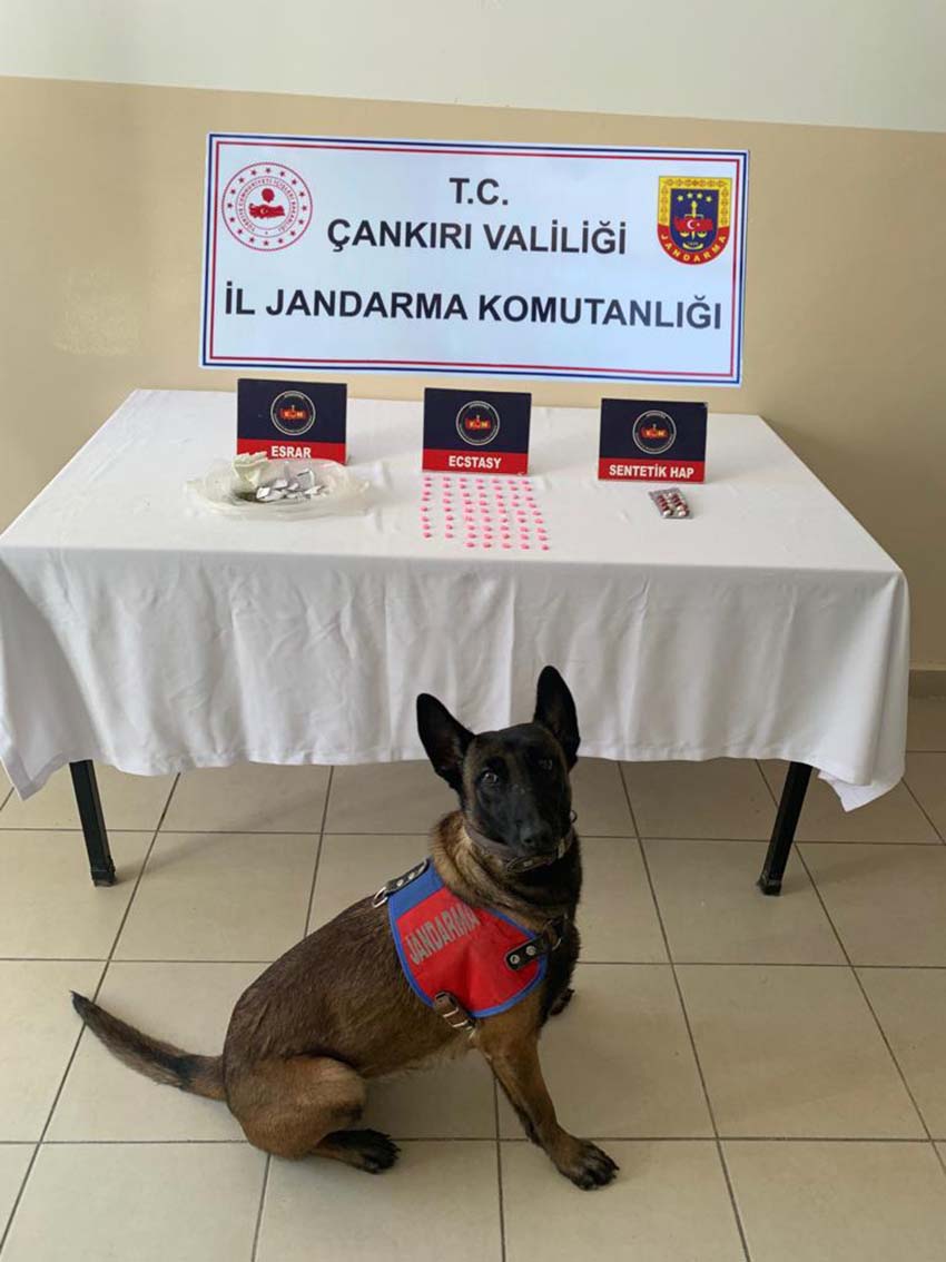 Çankırı’da 1 kişi uyuşturucu ticaretinden tutuklandı
