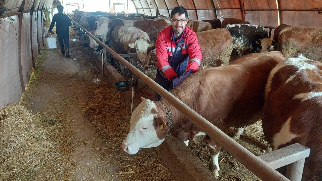 İlimizde şap aşılaması aralıksız devam ediyor