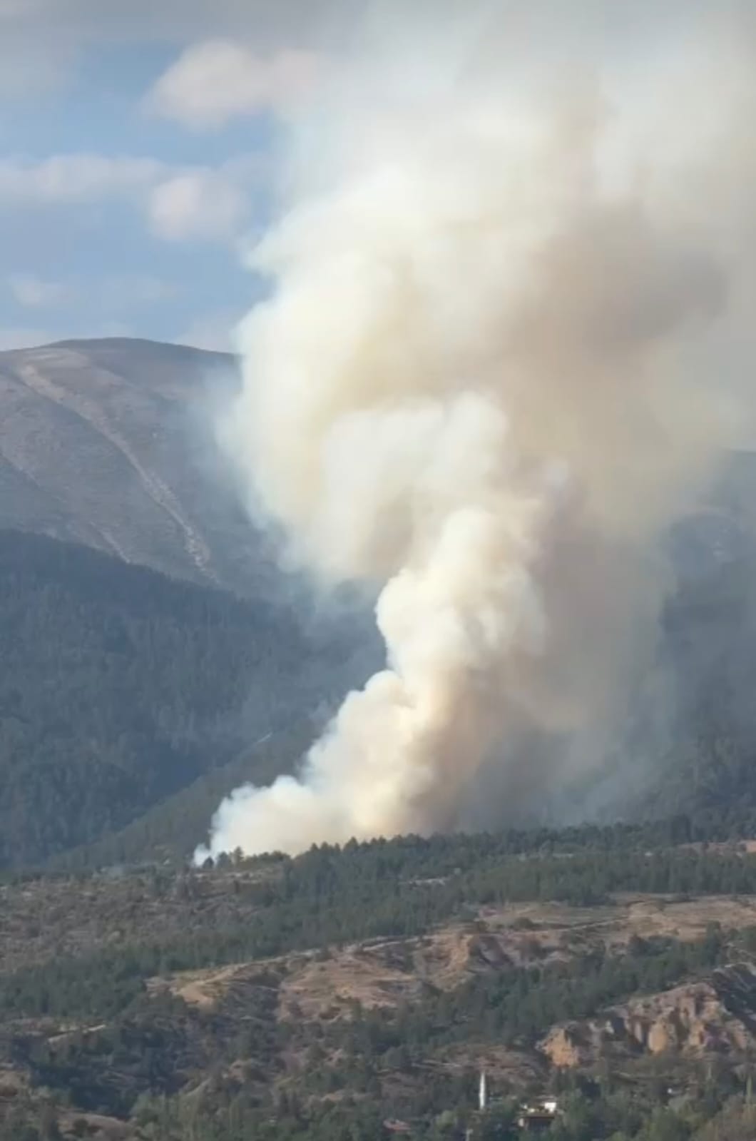 Ilgaz’da orman yangını