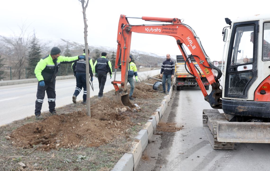 Cadde ve sokaklar ıhlamur kokacak